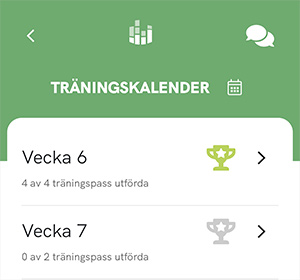 Utförda träningspass